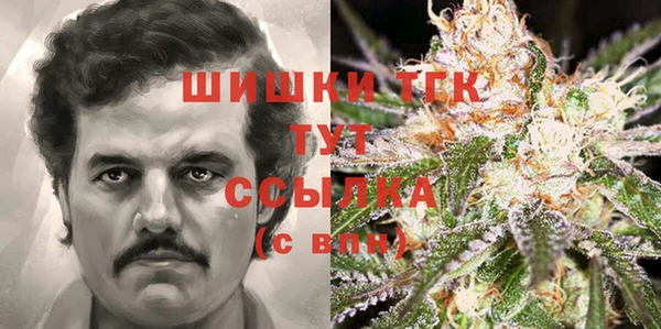Альфа ПВП Аркадак