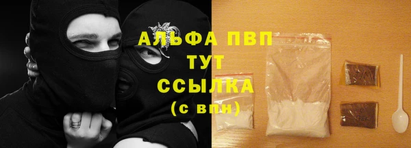 стаф Балахна