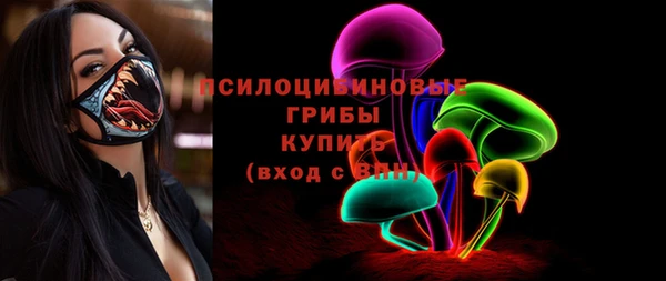 Альфа ПВП Аркадак