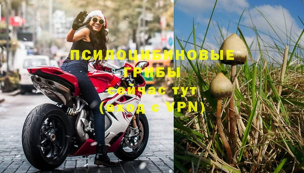Альфа ПВП Аркадак