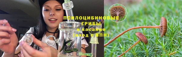 хмурый Арсеньев